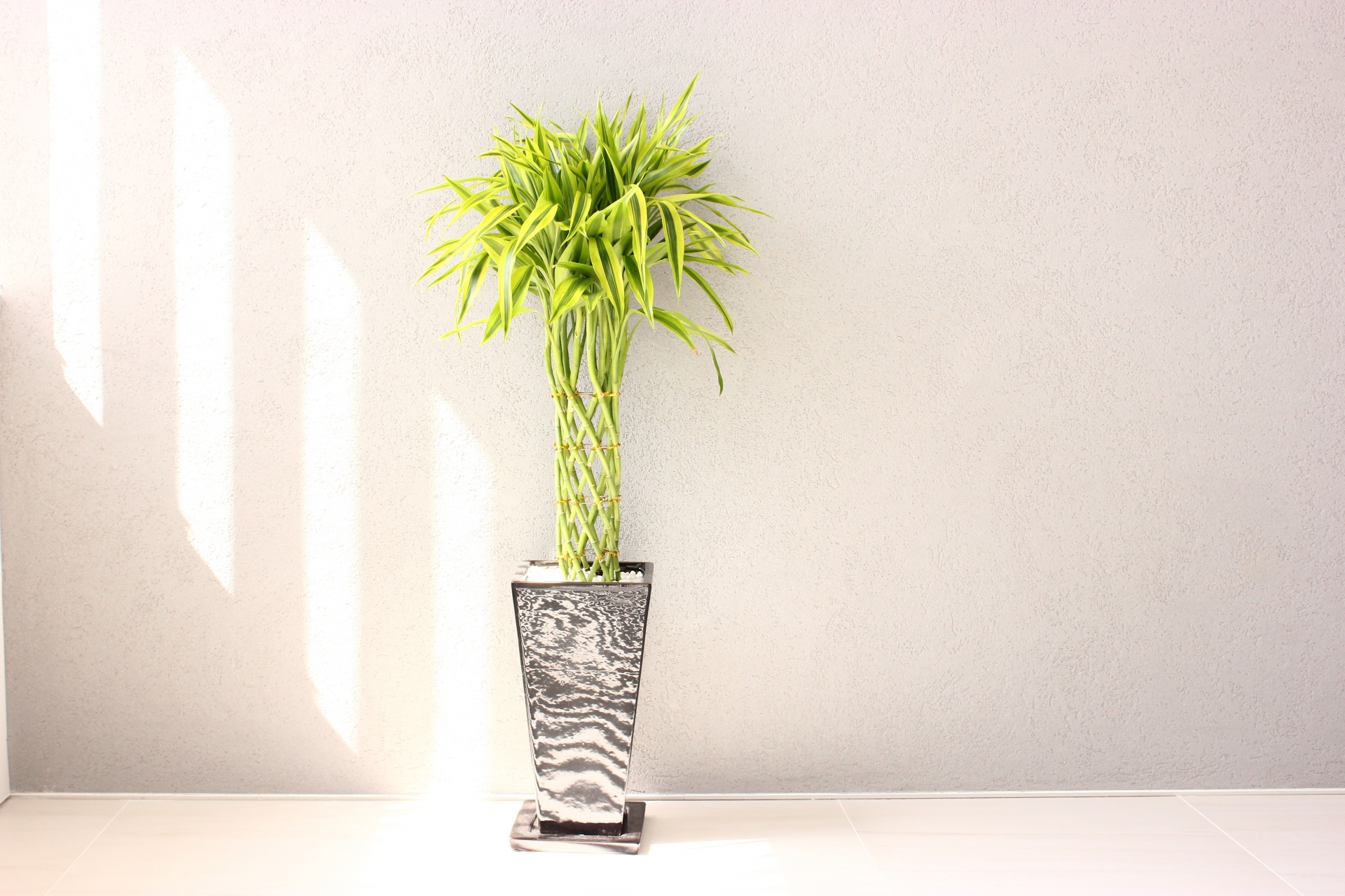 8167d75bf6d0ab5c692cec625a6a1dd7_m